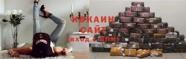 сатива Верхний Тагил