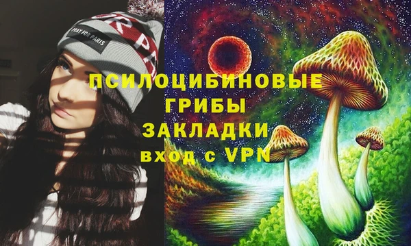 сатива Верхний Тагил