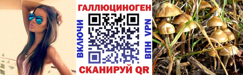 Галлюциногенные грибы ЛСД  Лысково 